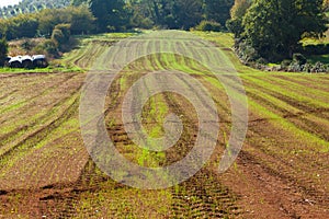 Agricultural land with fertile soil in Asturias