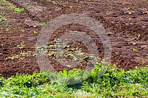 Agricultural land with fertile soil in Asturias