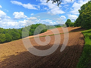 Agricultural land. Meadow. Horizon. Cereal production.