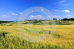 Agricultural land in Poland - barley fields