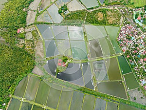 Agricultural land in the tropics.