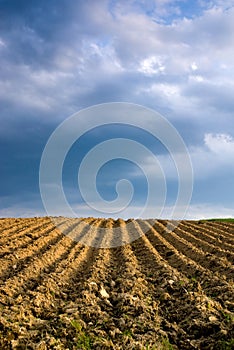 Agricultural landscape