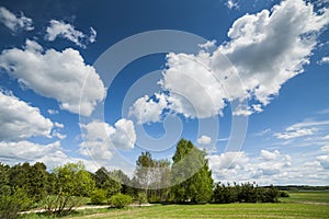 Agricultural landscape.