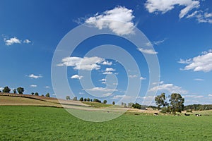 Agricultural Landscape