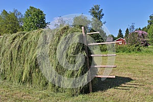 Agricultural landscape