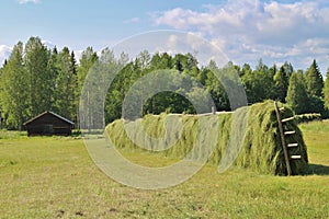 Agricultural landscape