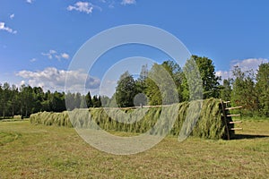 Agricultural landscape