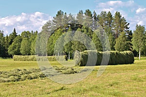 Agricultural landscape