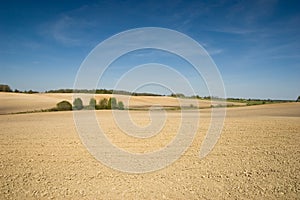 Agricultural Landscape