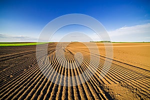 Agricultural landscape, arable crop field.