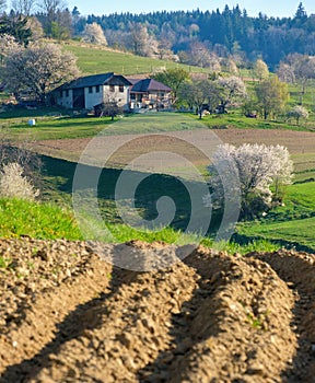 Agricultural landscape, arable crop field. Arable land is the land under temporary agricultural crops