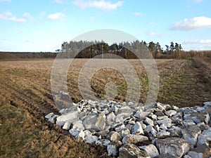 Agricultural landscape. Artistic look in vintage vivid colours.