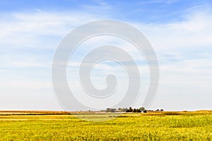Agricultural landscape. Blue sky, meadow, crop field and farmhouse