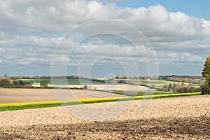 Agricultural landscape farmland with ploughed fields oilseed rape canola growing with bright yellow flowers farmhouse in the