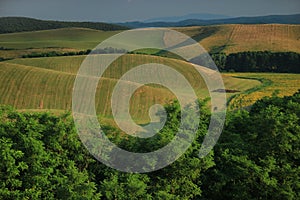 Agricultural landscape. South of Slovakia, Europe