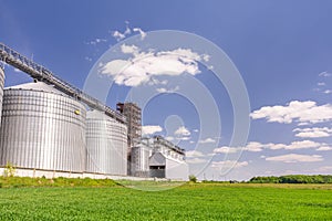 Agricultural landscape. Grain elevator for grain storage on the edge of a green wheat field