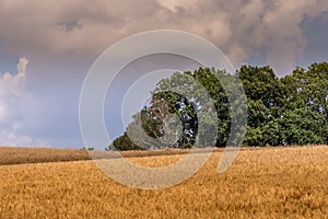 Agricultural landscape with harvested field