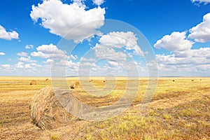Agricultural landscape haystacks on the field and blue sky background
