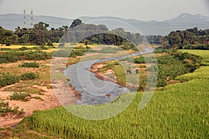 Agricultural Landscape in India