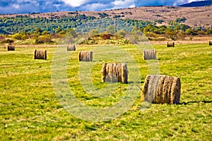 Agricultural landscape of Lika region