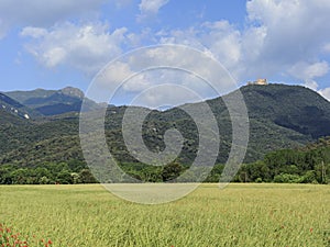 Agricultural landscape in the Montseny Massif