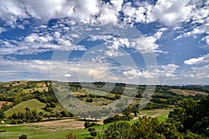 Agricultural landscape with olive and vine plantations and the towers of the city on the hill in Tuscany