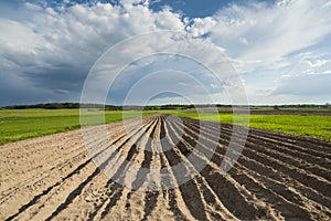 Agricultural landscape, plowed field.