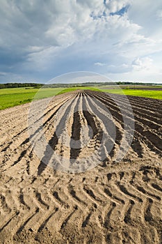 Agricultural landscape, plowed field.