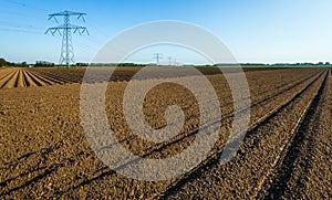 Agricultural landscape with power pylons in the background