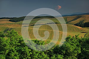 Agricultural landscape. South of Slovakia, Europe