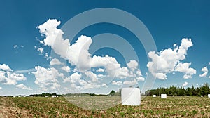 Agricultural landscape with straw packages on field. Cereal bale of hay wrapped in plastic white foil. Hay harvesting, grass