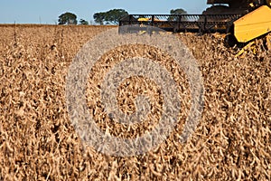 Agricultural machine harvesting soybean field.