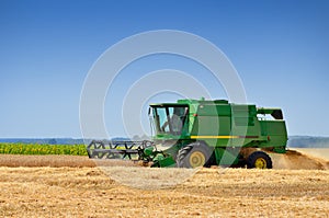 Agricultural machinery harvests of cereal crops in the field