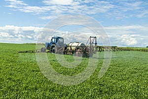 Agricultural machinery, Tractor and farmer in agricultural fields of wheat and rapeseed