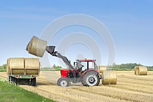 Agricultural machinery a tractor removes hay bales from the field after harvesting wheat. Harvest on the field