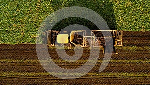 Agricultural machinery work in the field. Harvesting beetroot.