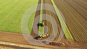 Agricultural machinery work in the field. Harvesting beetroot.