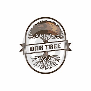 Agricultural oak tree vintage logo emblem with banner illustration