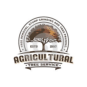 Agricultural oak tree vintage logo illustration