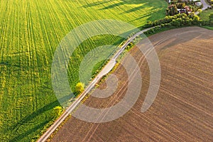 Agricultural path divides the green and brown field in spring. Aerial view