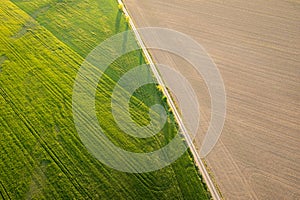 Agricultural path divides the green and brown field in spring. Aerial view