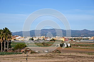 Agricultural plants growing on a farm field with fertile soil near rural homes. Village house and home at agriculture field in cou