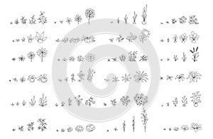 Agricultural plants, growth set. Growing plants animation progression. Planting. Sketch hand drawn black line. Flat