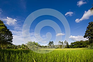 Agricultural plots landscape