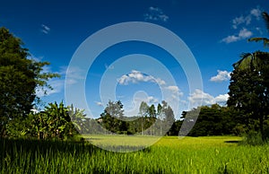 Agricultural plots landscape