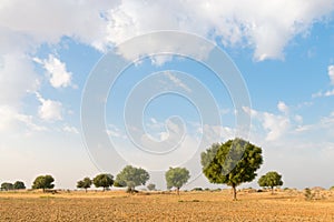 Agricultural ploughed land field in desert