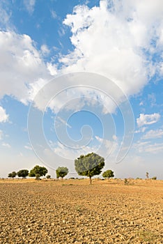 Agricultural ploughed land field in desert