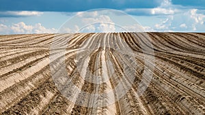 An agricultural potato field. Ploughed fields go over the horizon