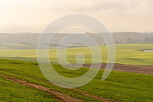 Agricultural production fields at winter dawn in southern Brazil photo