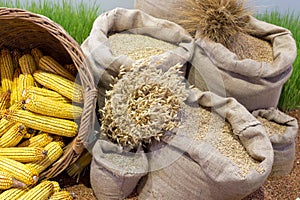 Agricultural products assorted